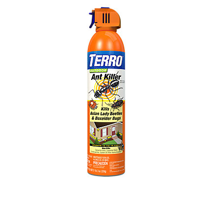 19-Ounce Outdoor Ant Killer Spray