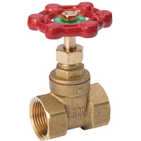 Gate Valve 1ips Std