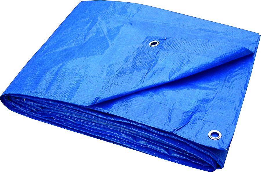Blue Tarp 20 x 30 Light Duty