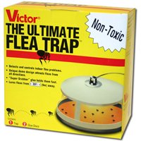 Ultimate Flea Trap 6-Pack