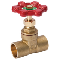 Gate Valve 1/2swt Standard
