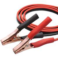 12-Foot 10-Gauge Booster Cable