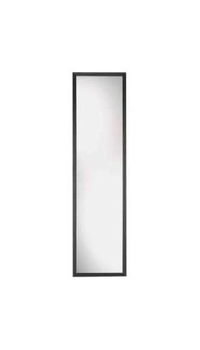 13 x 49-Inch Black Door Mirror