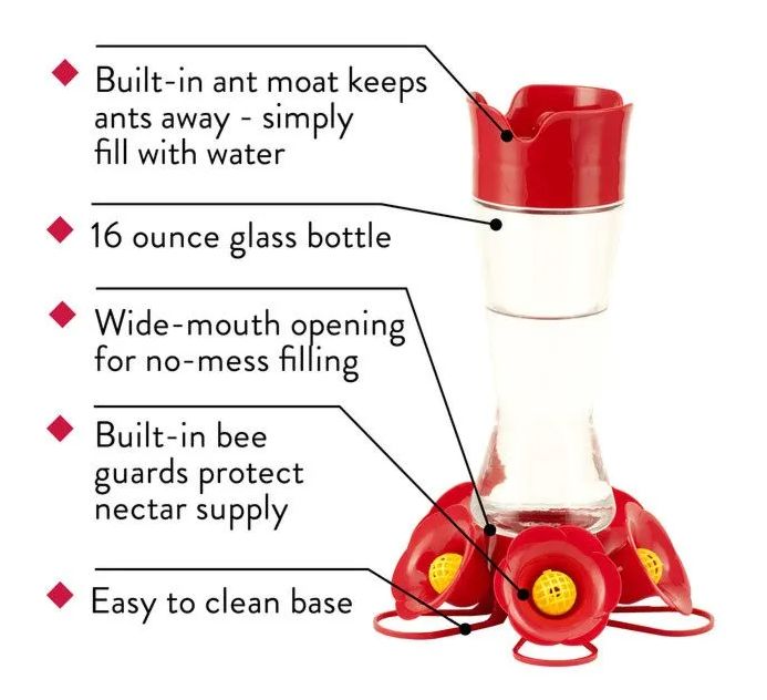 16-Ounce Glass Favored Pinch Waist Hummingbird Feeder