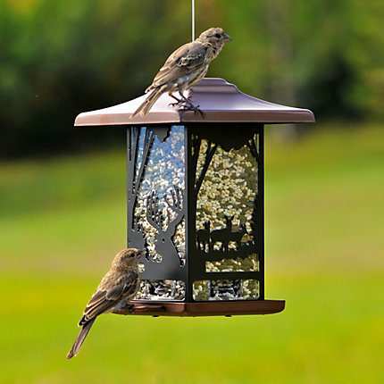 Wilderness Lantern Wild Bird Feeder 2 Wilderness Lantern Wild Bird Feeder