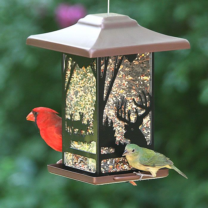 Wilderness Lantern Wild Bird Feeder 3 Wilderness Lantern Wild Bird Feeder