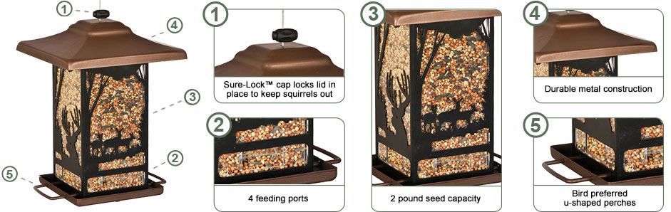 Wilderness Lantern Wild Bird Feeder 4 Wilderness Lantern Wild Bird Feeder