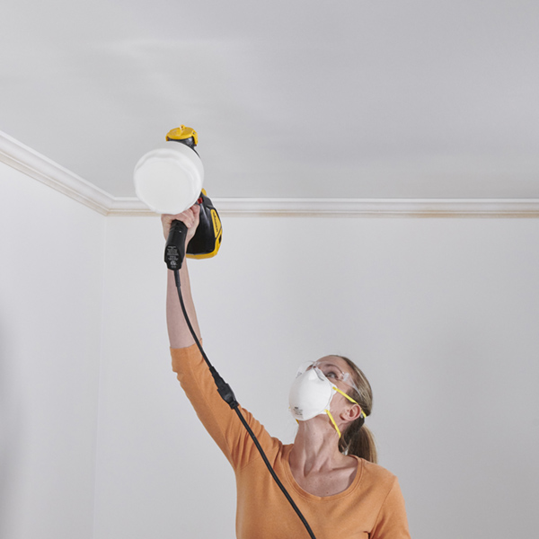 Flexio 595 Paint Sprayer Kit 4 Flexio 595 Paint Sprayer Kit
