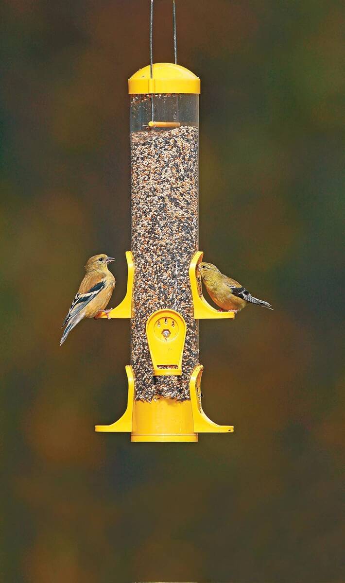 15-Inch Thistle Tube Feeder
