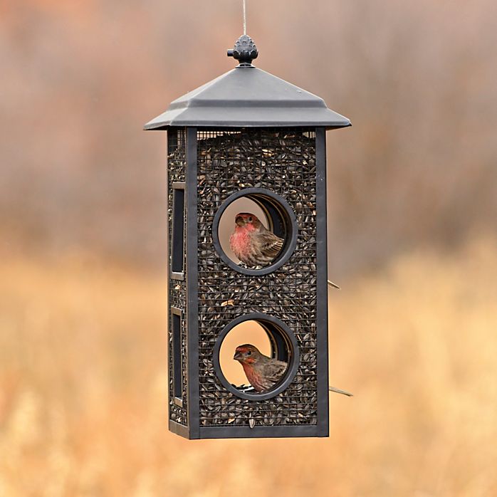 2-Pound Fly-Through Wild Bird Feeder