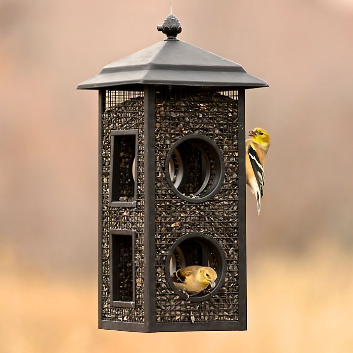2-Pound Fly-Through Wild Bird Feeder 3 2-Pound Fly-Through Wild Bird Feeder