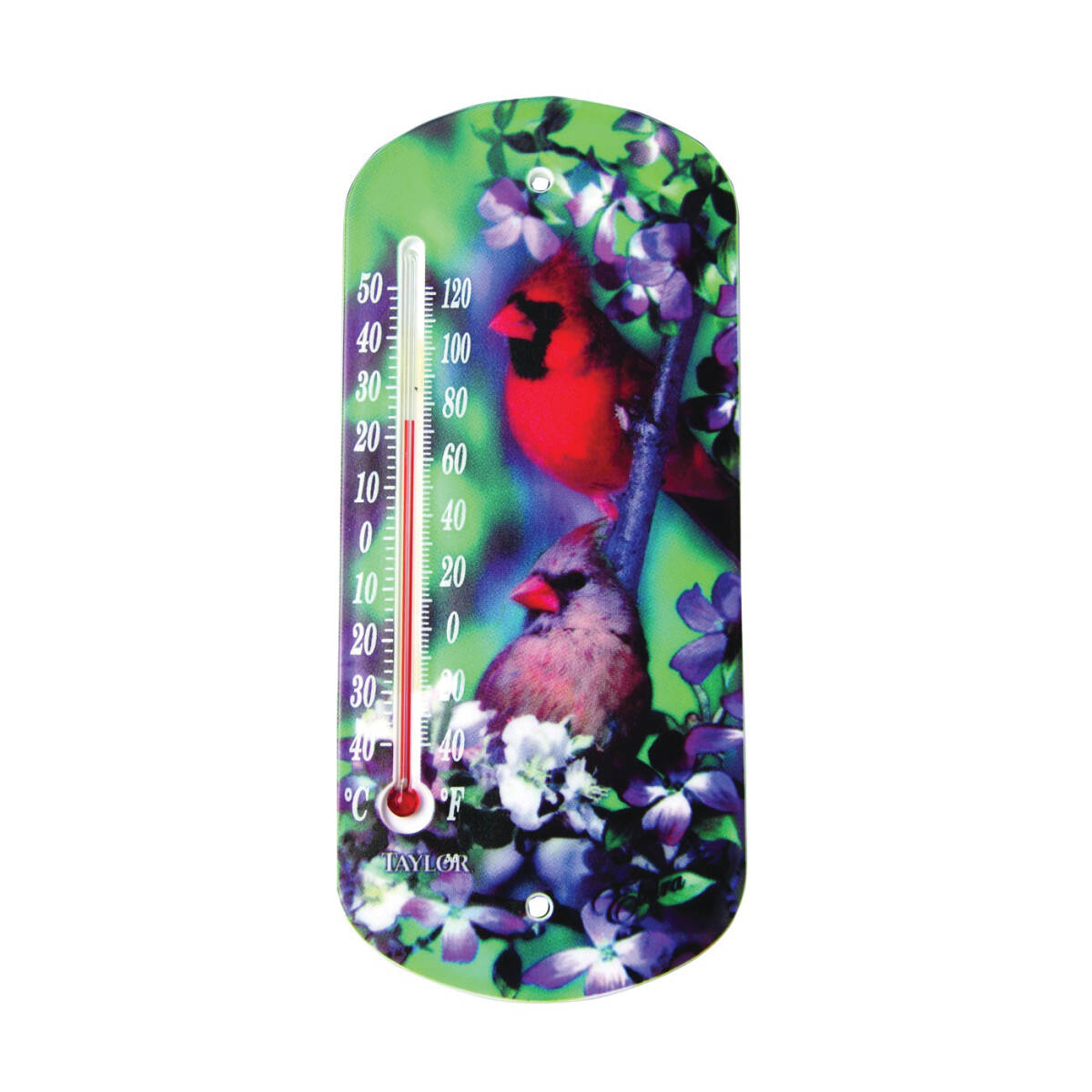 -40 To 120 Degree FTaylor Thermometer