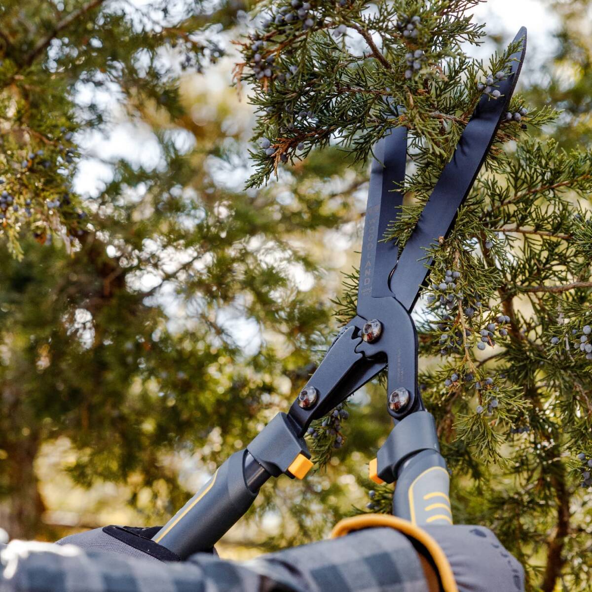 Super Duty MaxForce Hedge Shear 3 Super Duty MaxForce Hedge Shear
