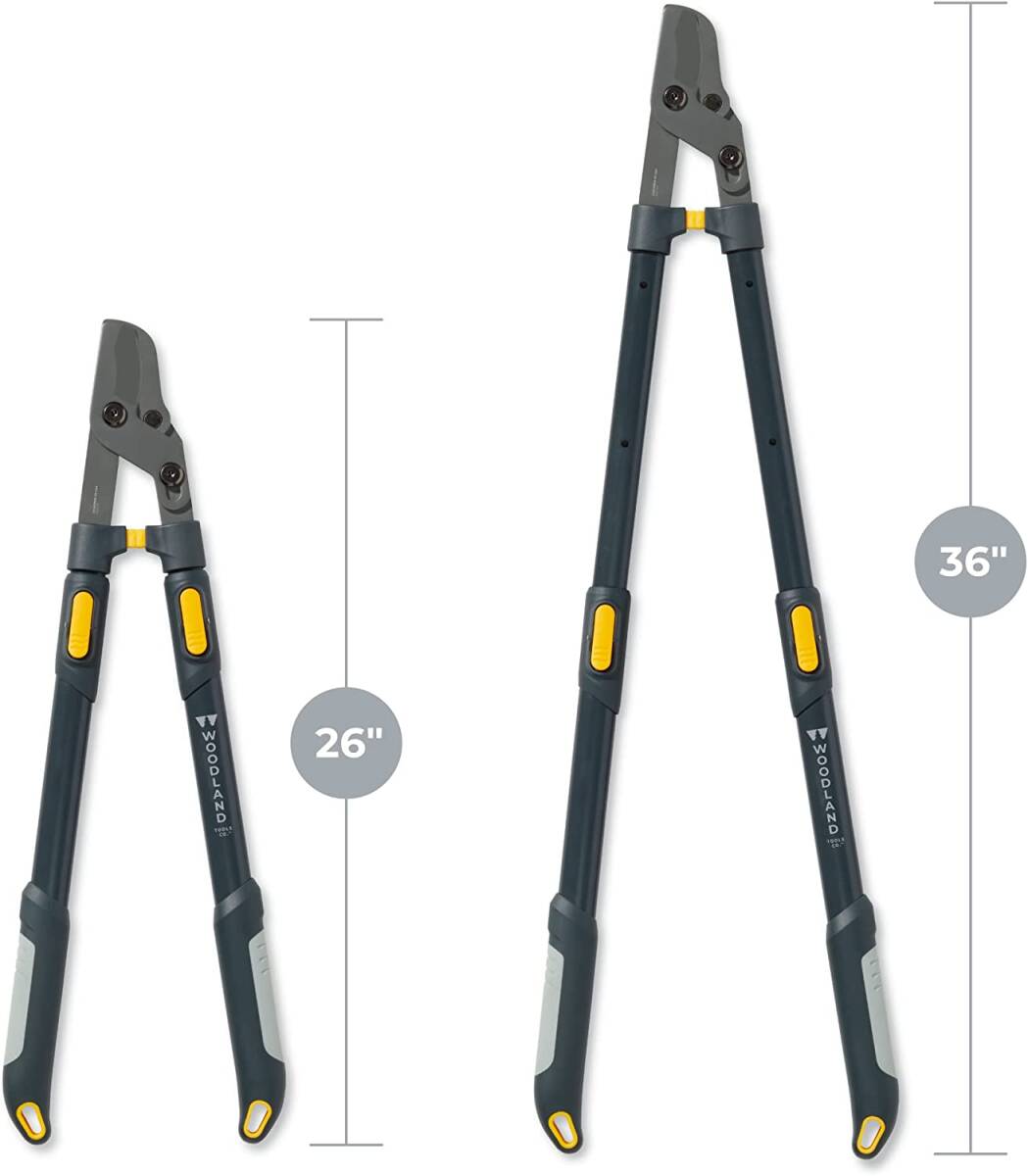 Heavy Duty Extendable LeverAction Lopper
