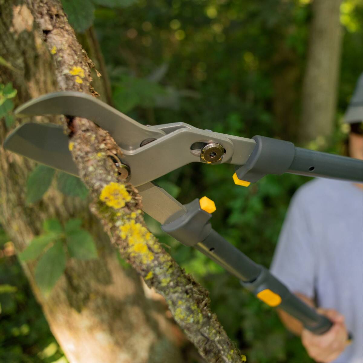 Heavy Duty Extendable LeverAction Lopper 6 Heavy Duty Extendable LeverAction Lopper