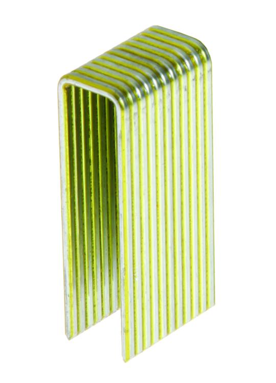 Staple 2 in 16g Galvanized Med Crown 10m