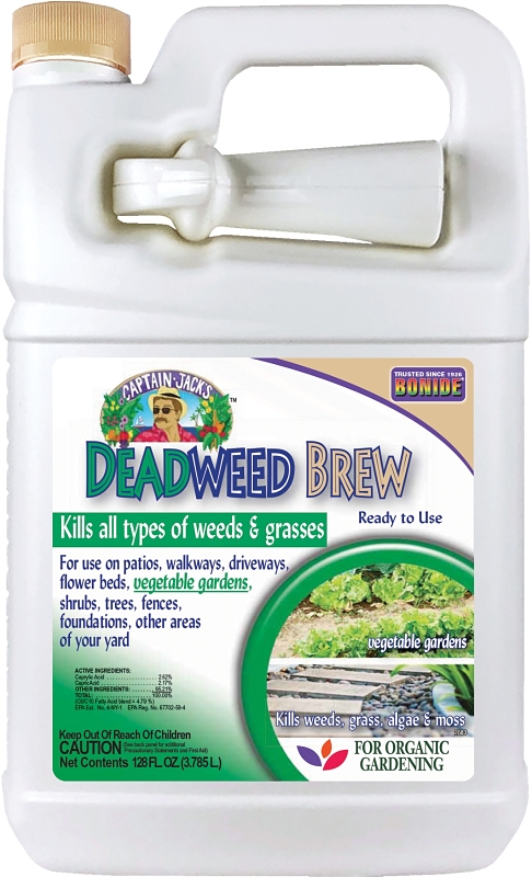 1-Gallon Captain Jack's Deadweed Brew