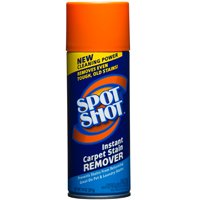 14 Oz Carpet Stain Remover