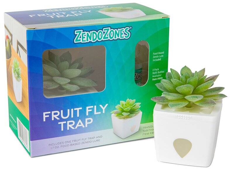 Tranquil Tabitha Fruit Fly Trap