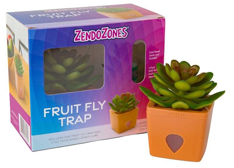 Serene Sandy Fruit Fly Trap