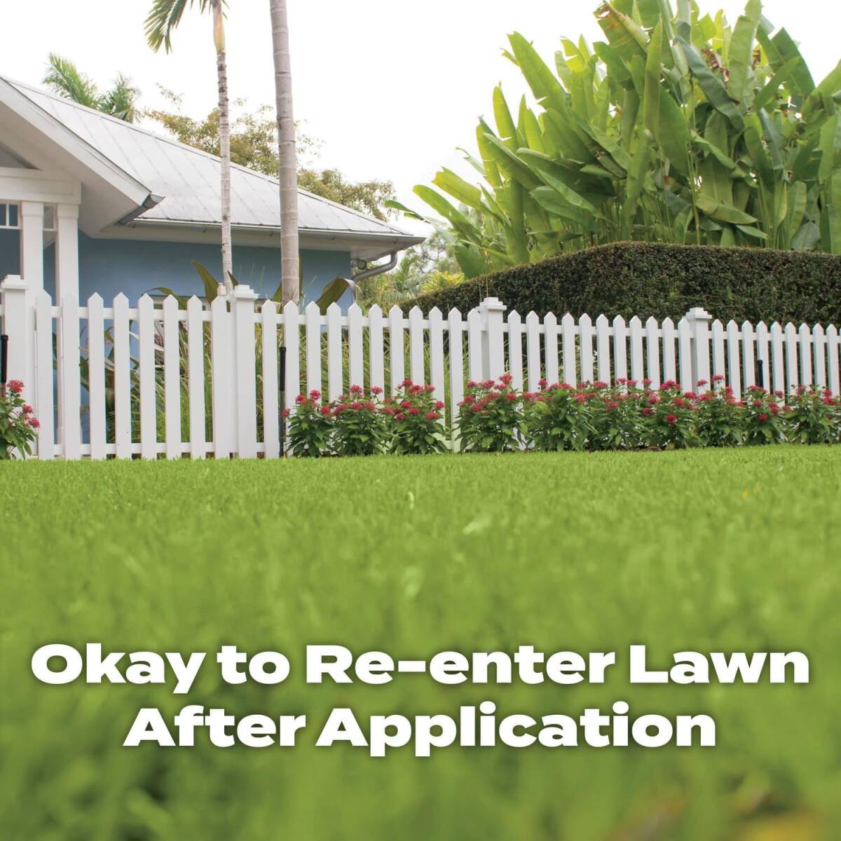 Turf Builder®5000 Sq Ft 14.06-Pound Southern Lawn Food 2 Turf Builder®5000 Sq Ft 14.06-Pound Southern Lawn Food