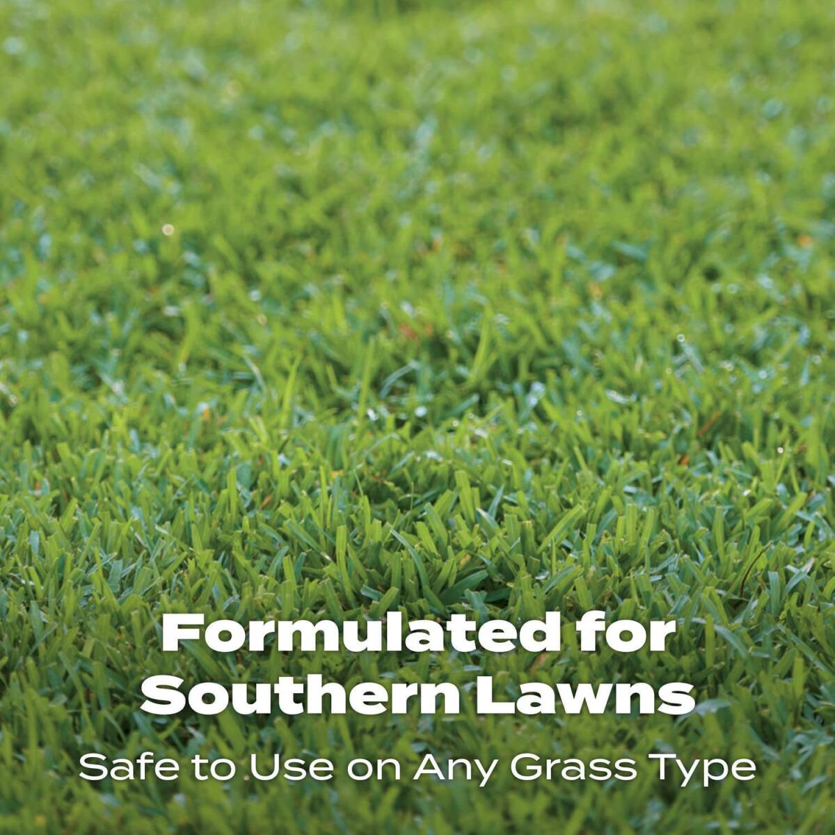 Turf Builder®5000 Sq Ft 14.06-Pound Southern Lawn Food 4 Turf Builder®5000 Sq Ft 14.06-Pound Southern Lawn Food