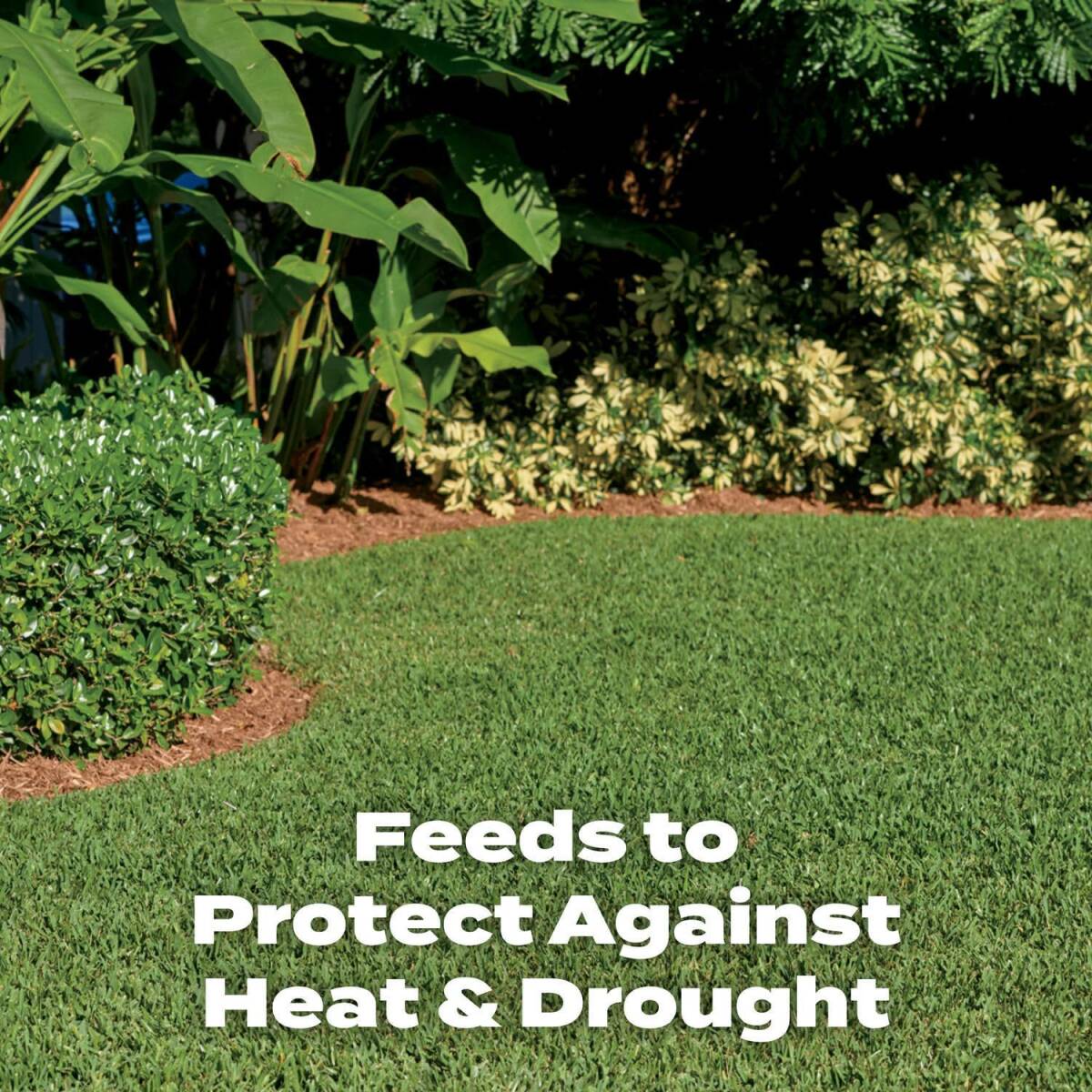 Turf Builder®5000 Sq Ft 14.06-Pound Southern Lawn Food 5 Turf Builder®5000 Sq Ft 14.06-Pound Southern Lawn Food