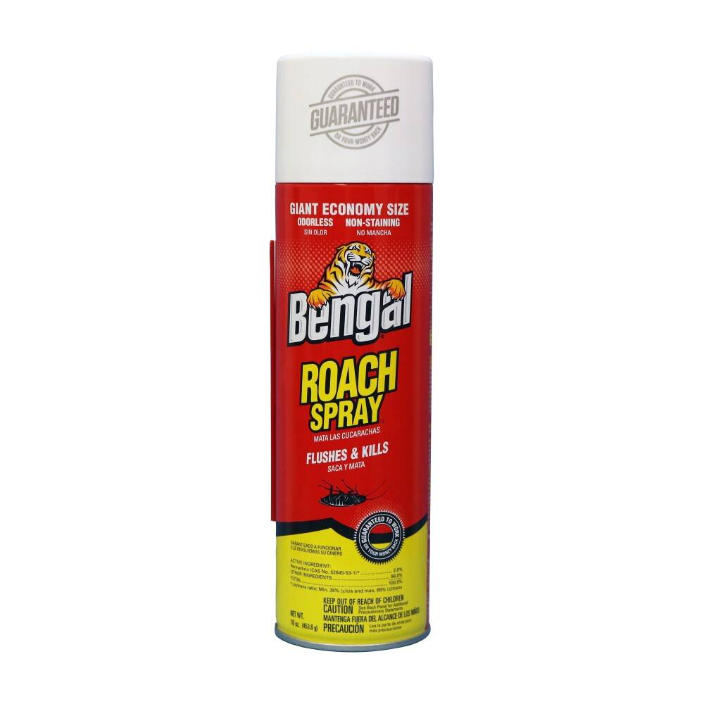 Roach Spray 16-Ounce