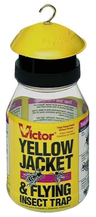 Poison Free Yellow Jacket And Insect Trap