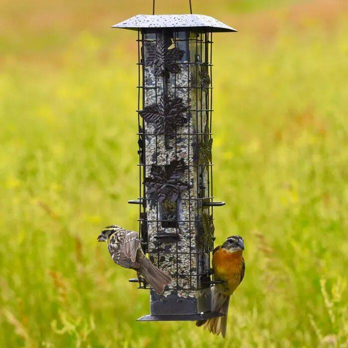 Squirrel-Be-Gone® Wild Bird Feeder