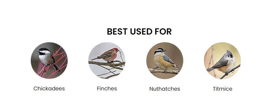 Squirrel-Be-Gone® Wild Bird Feeder 10 Squirrel-Be-Gone® Wild Bird Feeder