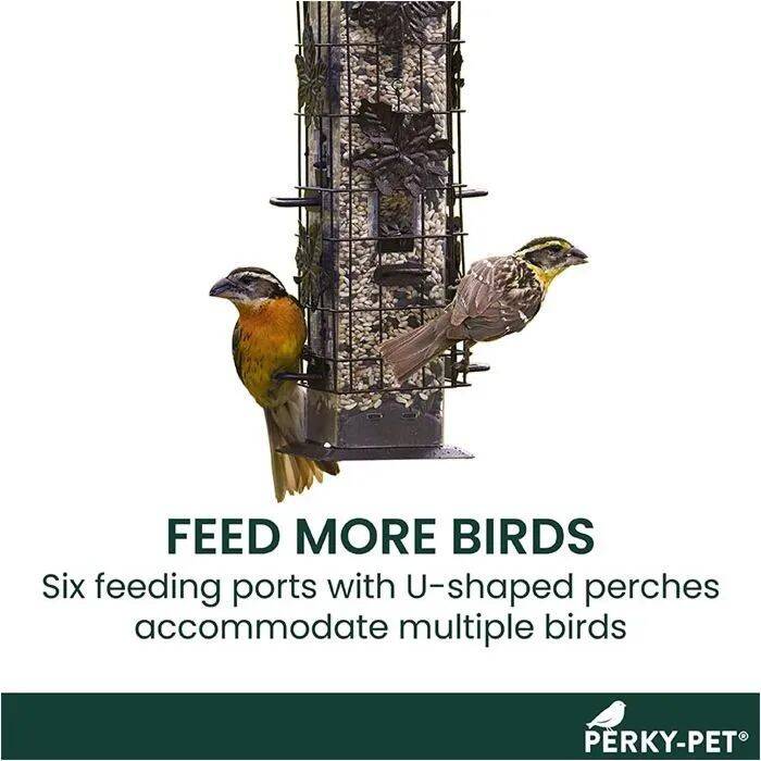Squirrel-Be-Gone® Wild Bird Feeder 8 Squirrel-Be-Gone® Wild Bird Feeder
