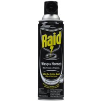14-Ounce Raid Wasp And Hornet Killer