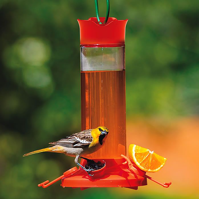 Fruit Trio Oriole Nectar Feeder