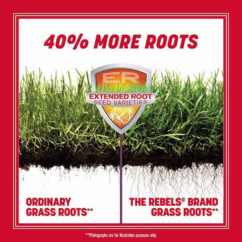 The Rebels® Premium Tall Fescue Grass Seed, 7-Pound 11 The Rebels® Premium Tall Fescue Grass Seed, 7-Pound