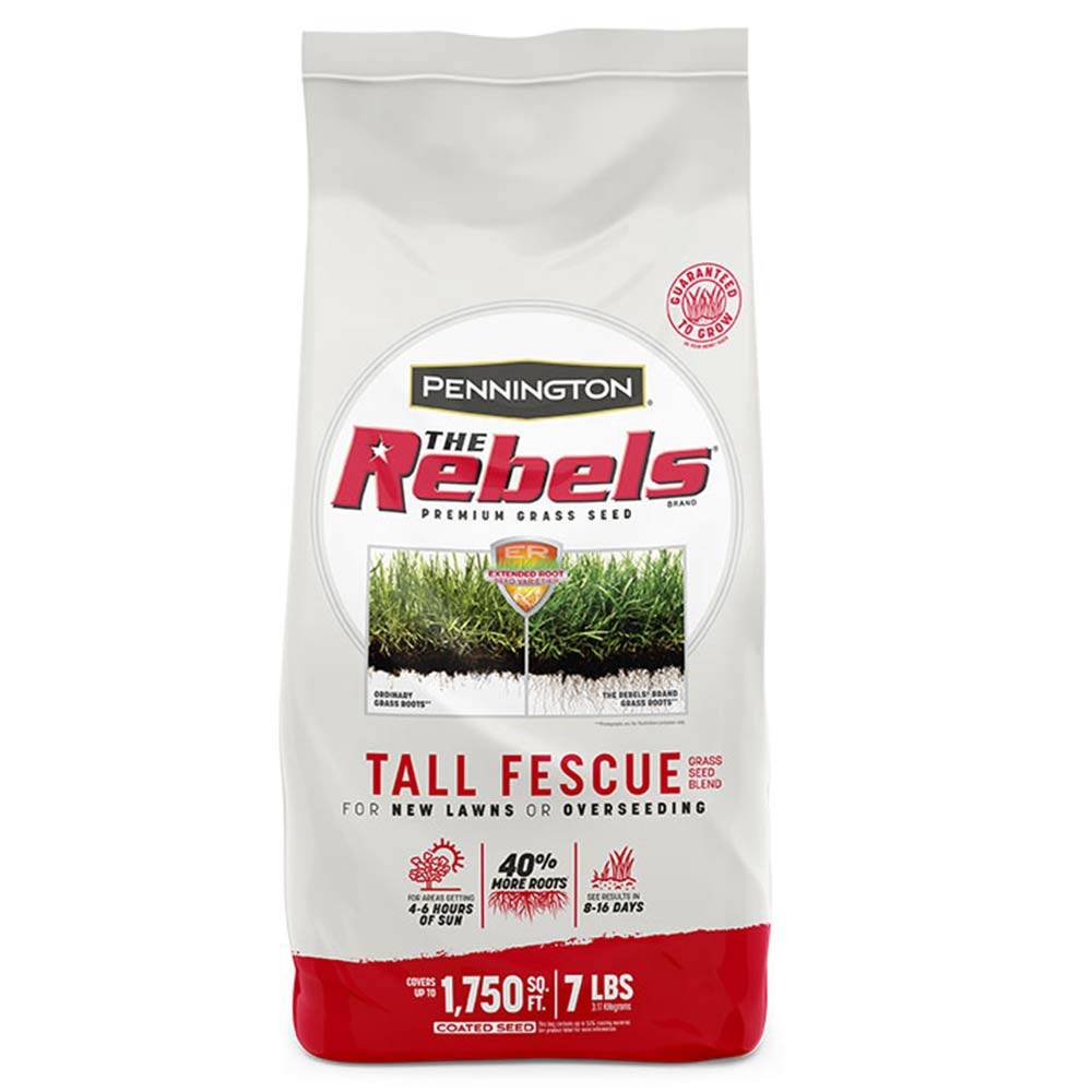 The Rebels® Premium Tall Fescue Grass Seed, 7-Pound 12 The Rebels® Premium Tall Fescue Grass Seed, 7-Pound