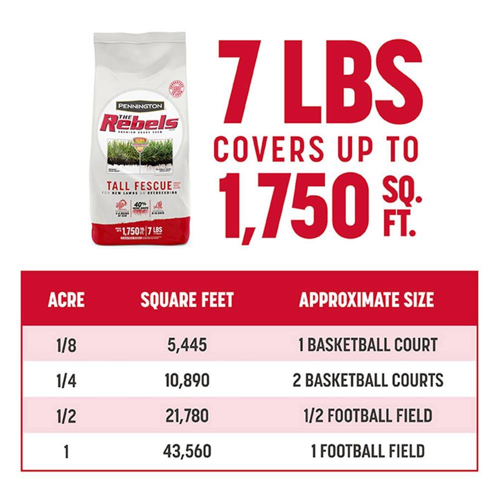 The Rebels® Premium Tall Fescue Grass Seed, 7-Pound 4 The Rebels® Premium Tall Fescue Grass Seed, 7-Pound
