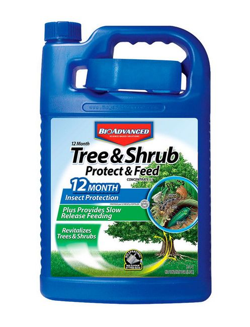 1-Gallon Concentrate 12-Month Tree And Shrub Protect And Feed
