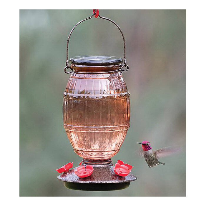 36-Ounce 5-Perch Nectar Glass Hummingbird Feeder