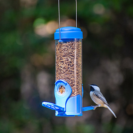 Dried Mealworm Bird Feeder With Flexports 2 Dried Mealworm Bird Feeder With Flexports
